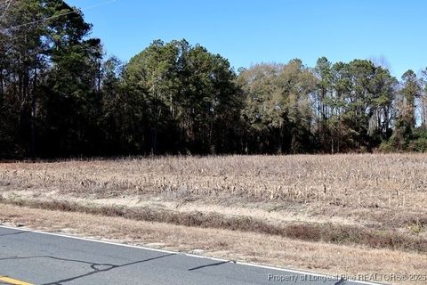 Tiny photo for TBD Stuarts Mill Road, Fairmont, NC 28340 (MLS # 756073)