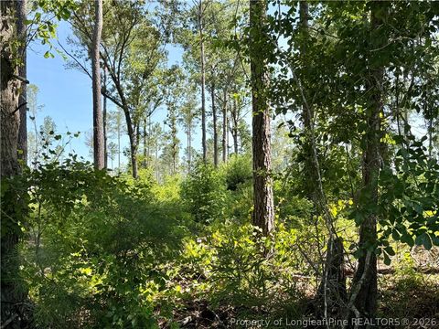Tiny photo for 1396 Mercer Mill Road, Lumberton, NC 28358 (MLS # 764967)