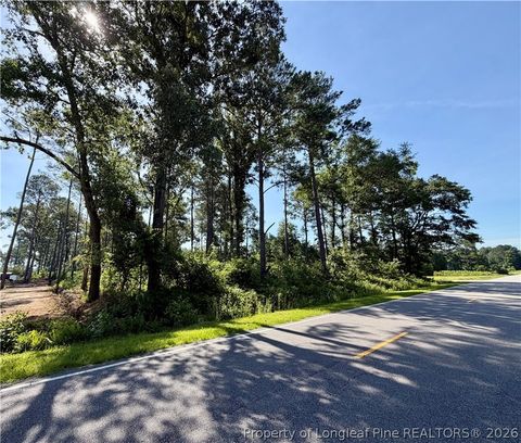 Photo of 1396 Mercer Mill Road, Lumberton, NC 28358 (MLS # 764967)