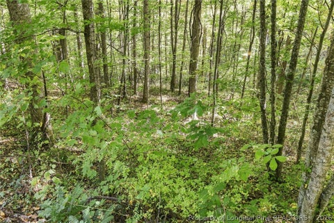 Tiny photo for 0 Cadillac Point, Waynesville, NC 28785 (MLS # 770330)