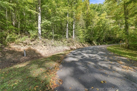 Tiny photo for 0 Cadillac Point, Waynesville, NC 28785 (MLS # 770330)