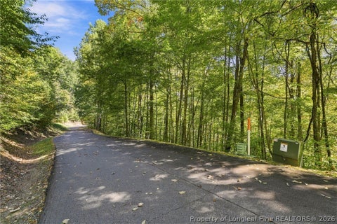 Tiny photo for 0 Cadillac Point, Waynesville, NC 28785 (MLS # 770330)