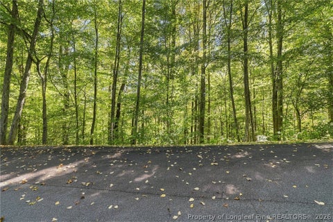 Tiny photo for 0 Cadillac Point, Waynesville, NC 28785 (MLS # 770330)