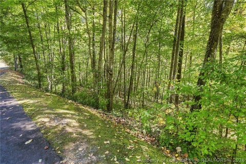 Tiny photo for 0 Cadillac Point, Waynesville, NC 28785 (MLS # 770330)