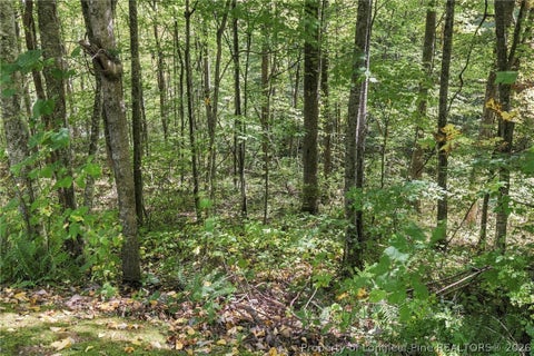Tiny photo for 0 Cadillac Point, Waynesville, NC 28785 (MLS # 770330)