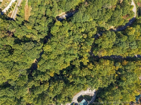 Tiny photo for 0 Cadillac Point, Waynesville, NC 28785 (MLS # 770330)