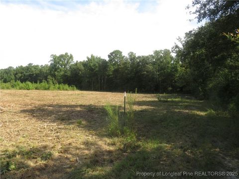 Lot E Survey Drive Fairmont NC 28340