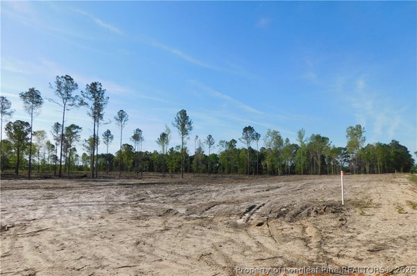 9 SANDY RD, FAIRMONT, NC 28340 - Image cb962cc1cb78017a6db789ce8e9656aa/1832101476