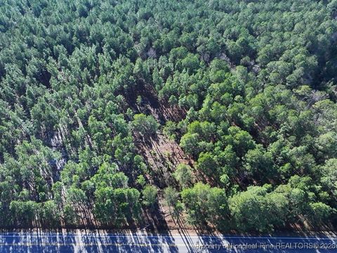 Photo of NC Hwy 130 Highway, Fairmont, NC 28340 (MLS # 756427)