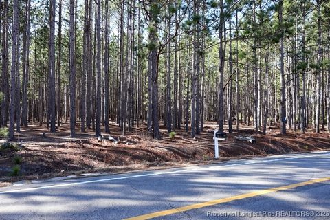 Tiny photo for NC Hwy 130 Highway, Fairmont, NC 28340 (MLS # 756427)