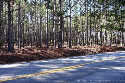 Tiny photo for NC Hwy 130 Highway, Fairmont, NC 28340 (MLS # 756427)