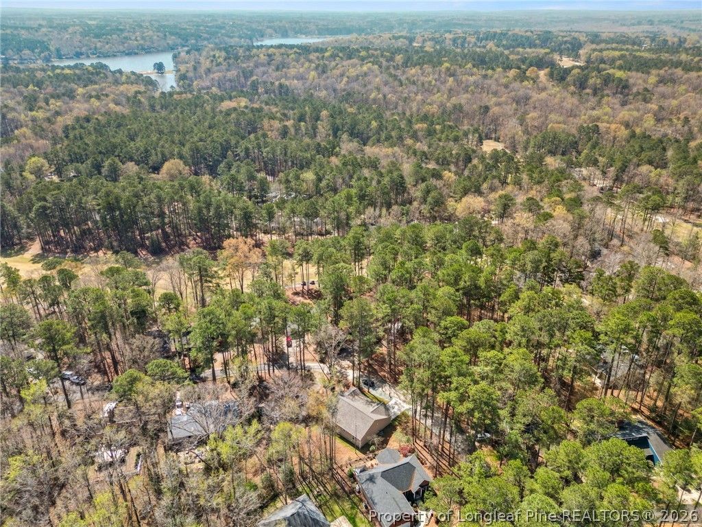 Photo of 1732 Margarita Lane, Sanford, NC 27332 (MLS # 759301)