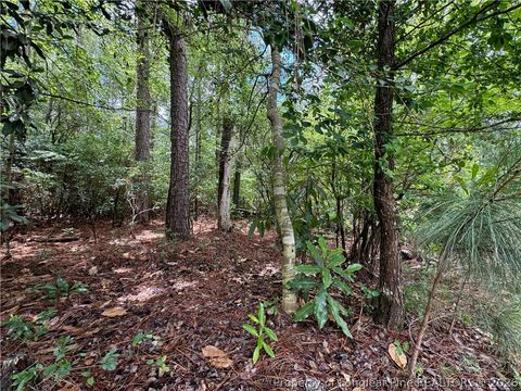 Tiny photo for TBD Myra Road, Raeford, NC 28376 (MLS # 764797)