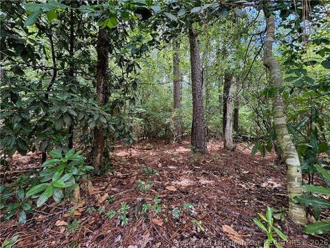 Tiny photo for TBD Myra Road, Raeford, NC 28376 (MLS # 764797)