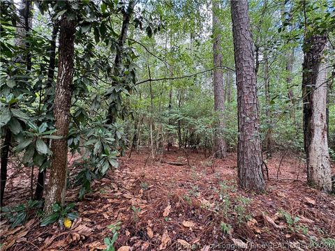Tiny photo for TBD Myra Road, Raeford, NC 28376 (MLS # 764797)