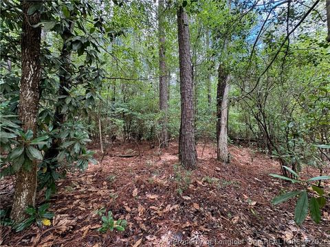 Tiny photo for TBD Myra Road, Raeford, NC 28376 (MLS # 764797)