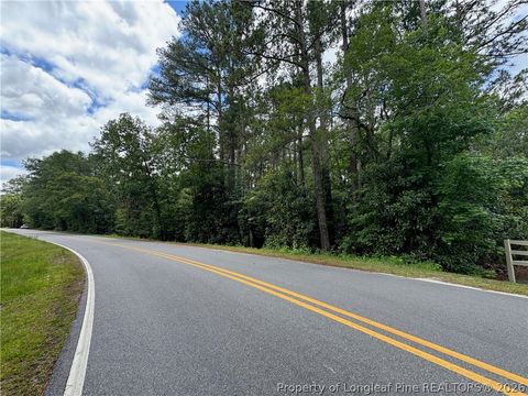 Tiny photo for TBD Myra Road, Raeford, NC 28376 (MLS # 764797)