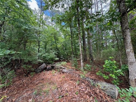 Tiny photo for TBD Myra Road, Raeford, NC 28376 (MLS # 764797)