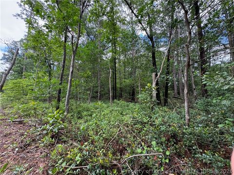 Tiny photo for TBD Myra Road, Raeford, NC 28376 (MLS # 764797)