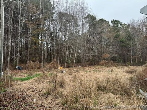 Tiny photo for 2692 Jonesville Road, Fairmont, NC 28340 (MLS # 755132)