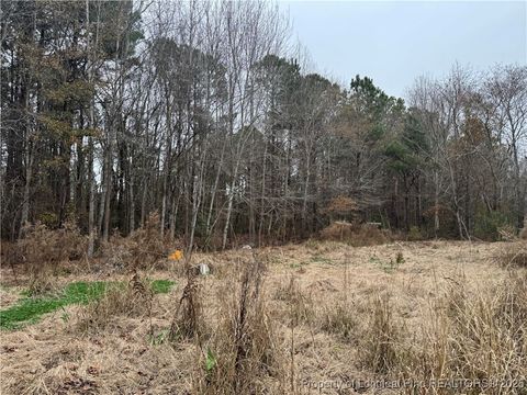 Tiny photo for 2692 Jonesville Road, Fairmont, NC 28340 (MLS # 755132)