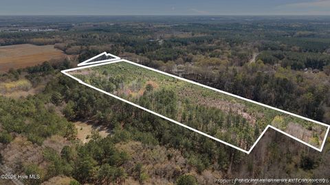 Tiny photo for TBD Scholl Road, Hamlet, NC 28345 (MLS # 759412)