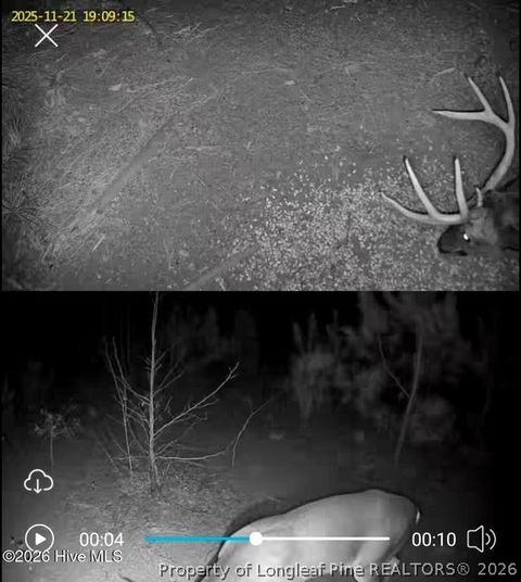 Tiny photo for TBD Scholl Road, Hamlet, NC 28345 (MLS # 759412)