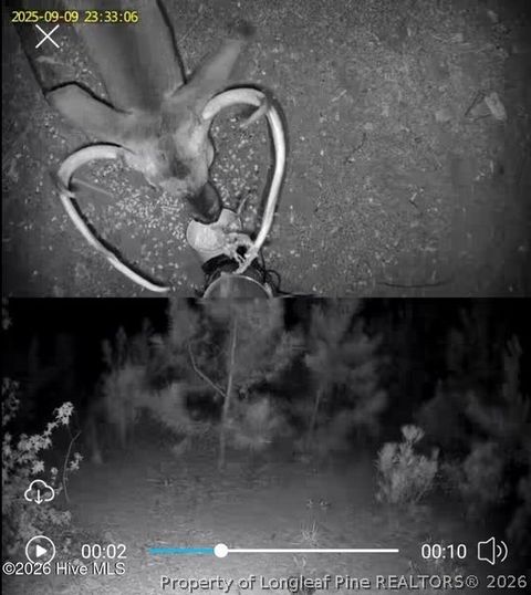 Tiny photo for TBD Scholl Road, Hamlet, NC 28345 (MLS # 759412)