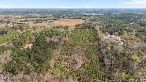 Tiny photo for TBD Scholl Road, Hamlet, NC 28345 (MLS # 759412)