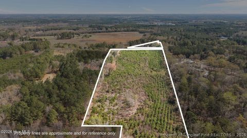 Tiny photo for TBD Scholl Road, Hamlet, NC 28345 (MLS # 759412)