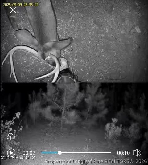 Tiny photo for TBD Scholl Road, Hamlet, NC 28345 (MLS # 759412)