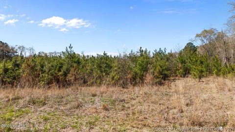Tiny photo for TBD Scholl Road, Hamlet, NC 28345 (MLS # 759412)