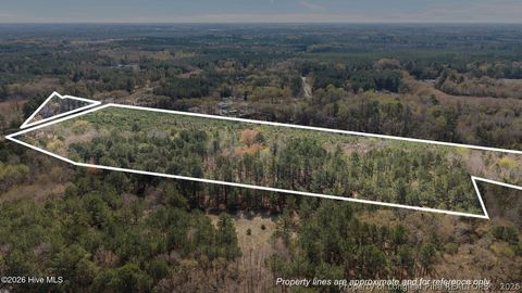 Tiny photo for TBD Scholl Road, Hamlet, NC 28345 (MLS # 759412)