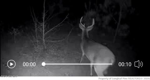 Tiny photo for TBD Scholl Road, Hamlet, NC 28345 (MLS # 759412)