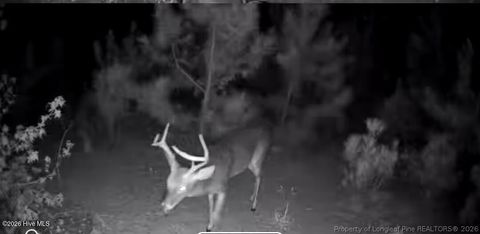 Tiny photo for TBD Scholl Road, Hamlet, NC 28345 (MLS # 759412)