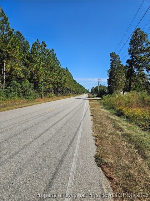 Tiny photo for Lemuel Black Road, Bunnlevel, NC 28323 (MLS # 750731)