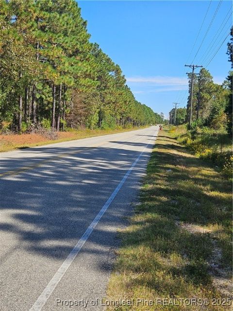 Tiny photo for Lemuel Black Road, Bunnlevel, NC 28323 (MLS # 750731)