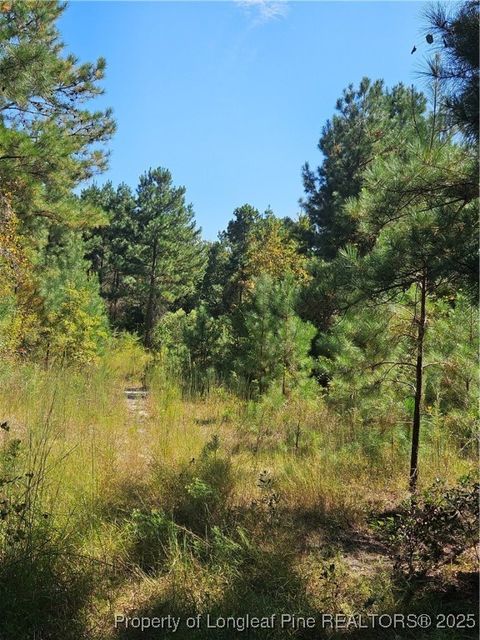 Tiny photo for Lemuel Black Road, Bunnlevel, NC 28323 (MLS # 750731)