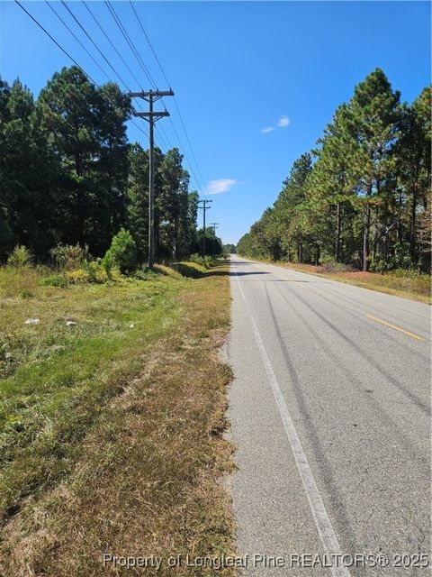 Tiny photo for Lemuel Black Road, Bunnlevel, NC 28323 (MLS # 750731)