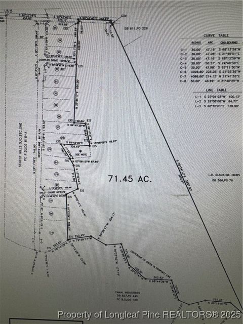 Tiny photo for Lemuel Black Road, Bunnlevel, NC 28323 (MLS # 750731)