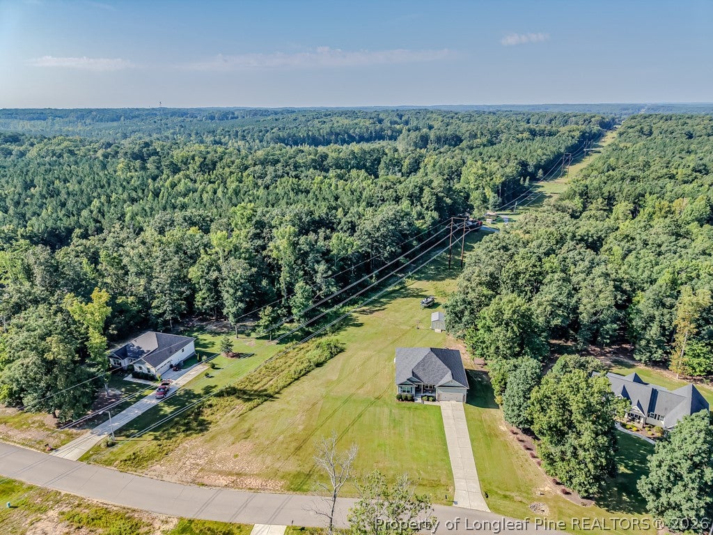 Photo of 181 Greenwich Drive, Sanford, NC 27330 (MLS # 768562)