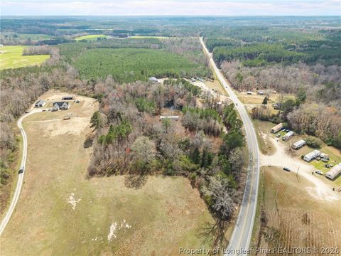 Tiny photo for 7275 NC 210 S Highway, Bunnlevel, NC 28323 (MLS # 758654)