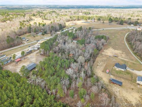 Tiny photo for 7275 NC 210 S Highway, Bunnlevel, NC 28323 (MLS # 758654)