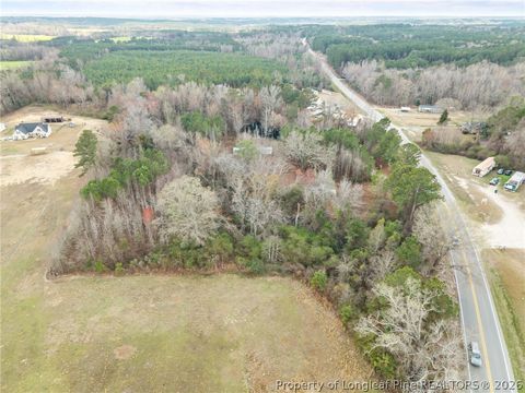 Tiny photo for 7275 NC 210 S Highway, Bunnlevel, NC 28323 (MLS # 758654)