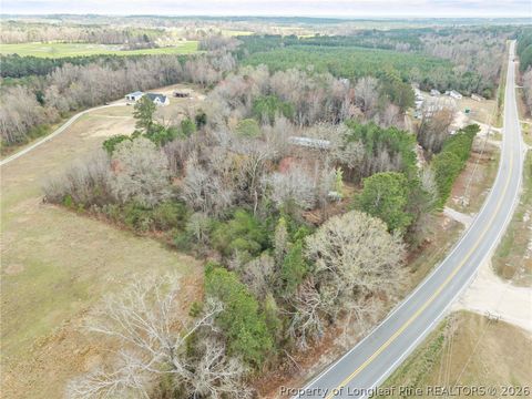 Photo of 7275 NC 210 S Highway, Bunnlevel, NC 28323 (MLS # 758654)