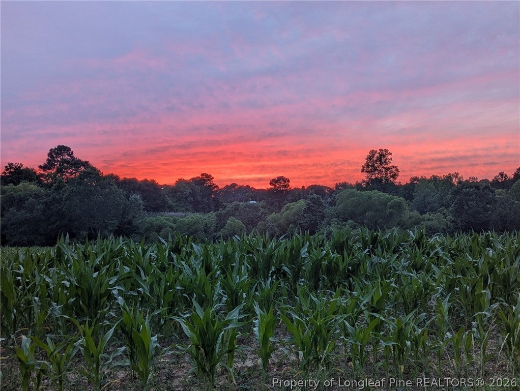 Photo of 1589 Dixie Farm Road, Sanford, NC 27332 (MLS # 771729)