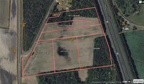 Tiny photo for 00 Pope Wray (Lot 1) Road, Turkey, NC 28341 (MLS # 762684)