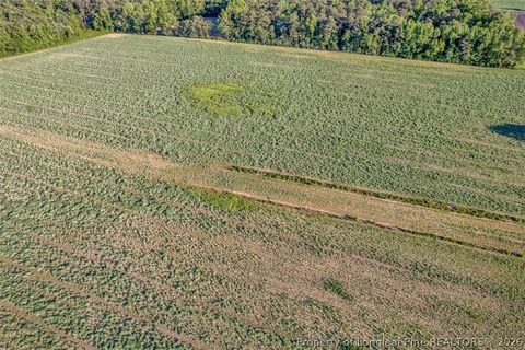 Tiny photo for 00 Pope Wray (Lot 1) Road, Turkey, NC 28341 (MLS # 762684)