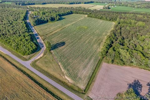 Tiny photo for 00 Pope Wray (Lot 1) Road, Turkey, NC 28341 (MLS # 762684)