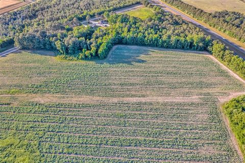 Tiny photo for 00 Pope Wray (Lot 1) Road, Turkey, NC 28341 (MLS # 762684)